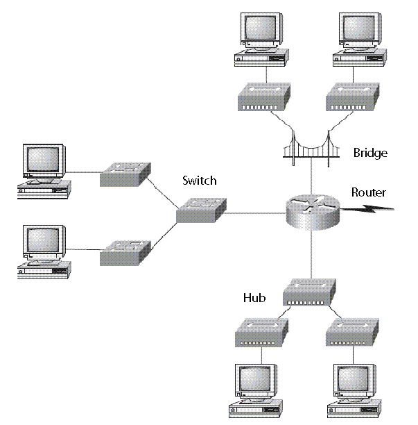 hub, switch, bridge, router